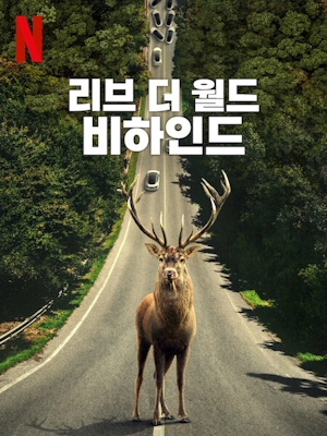 Movie 1