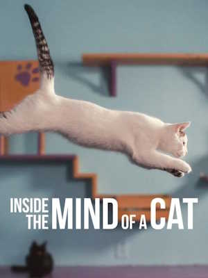 Movie 1