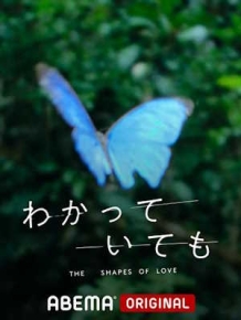 알고 있지만 - 사랑의 형태들