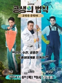공생의 법칙
