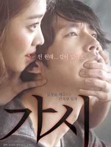 가시