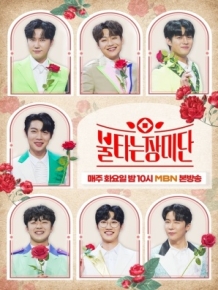 불타는 장미단