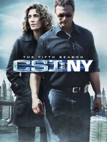 CSI: 뉴욕 시즌 5