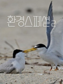 환경스페셜2