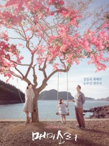 매미소리