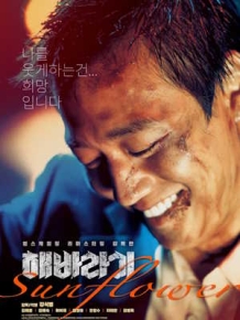 해바라기