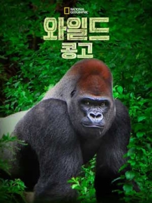 와일드 콩고