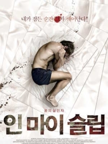 인 마이 슬립
