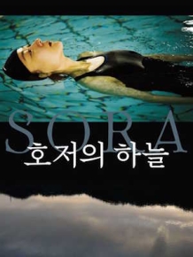 호저의 하늘