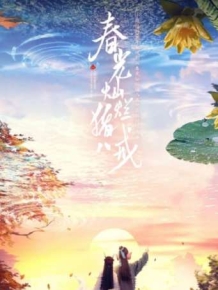 춘광찬란저팔계