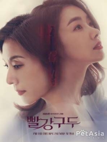 빨강 구두