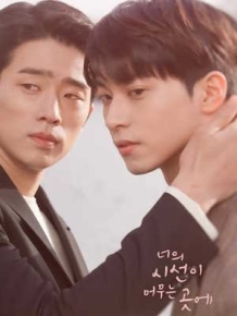 너의 시선이 머무는 곳에