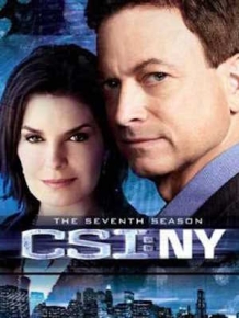 CSI: 뉴욕 시즌 7