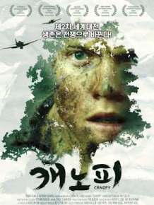 캐노피