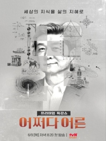 어쩌다 어른