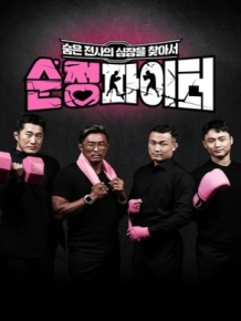 순정파이터