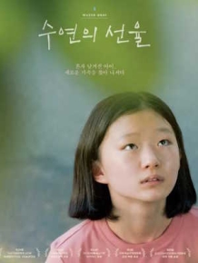 수연의 선율