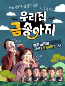 우리집 금송아지