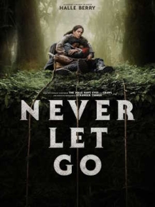 네버 렛 고