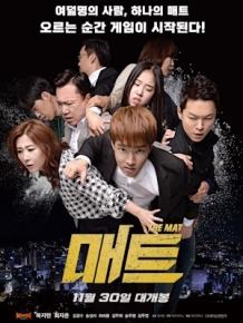 매트
