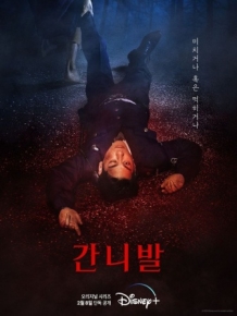 간니발