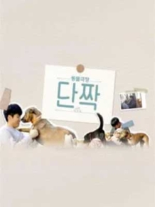 반려동물극장