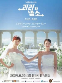 괴리와 냉소