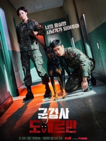 군검사 도베르만