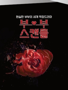 부부스캔들