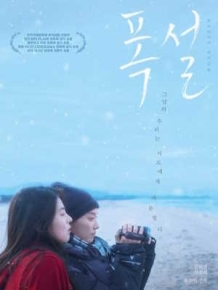 폭설