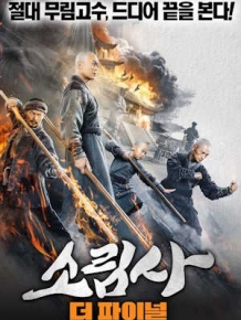 소림사 : 더 파이널