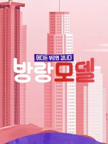 방랑모델 (종영)