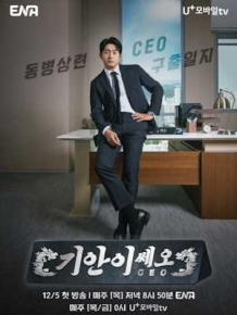 기안이쎄오