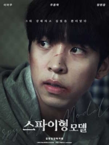 스파이형 모델