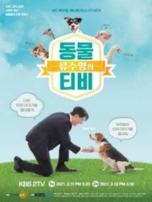 류수영의 동물티비