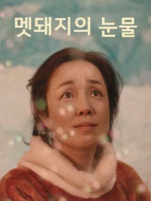 멧돼지의 눈물