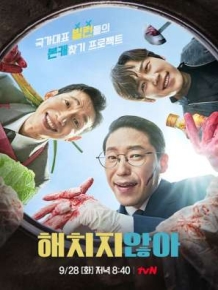 해치지 않아