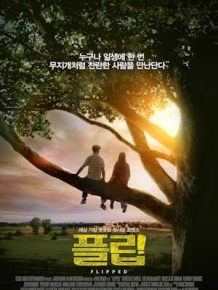 플립